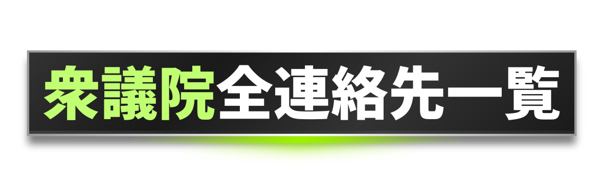 202411衆議院エクセルアイコン